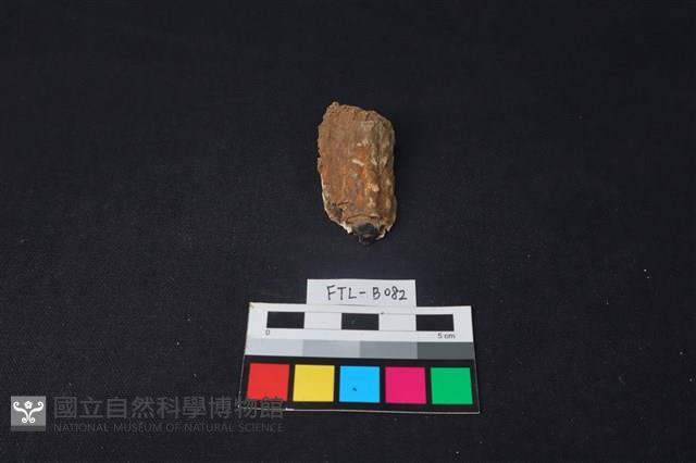 獸骨藏品圖，第2張