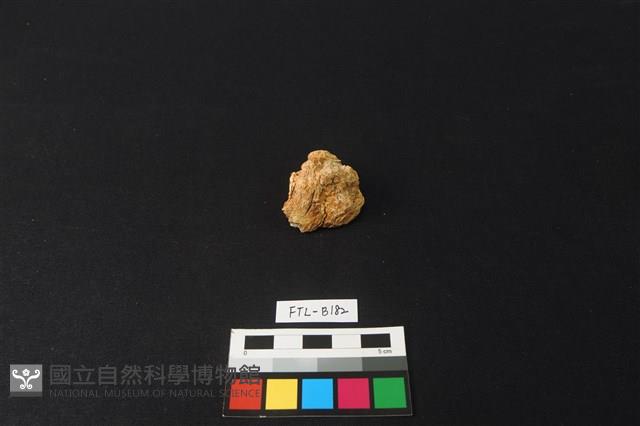 獸骨藏品圖，第2張