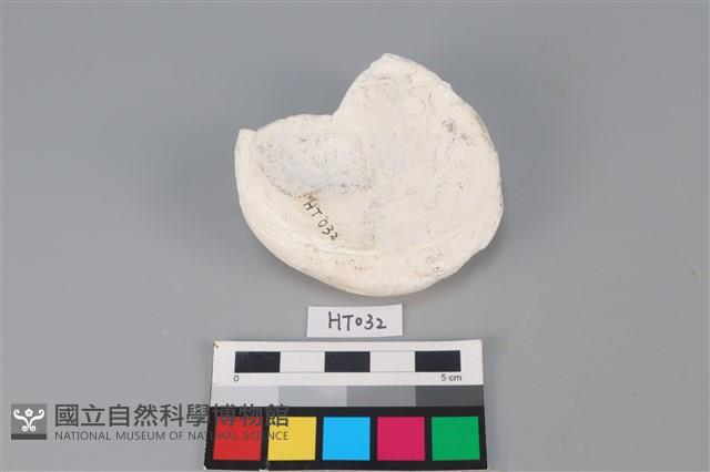 獸骨藏品圖，第2張