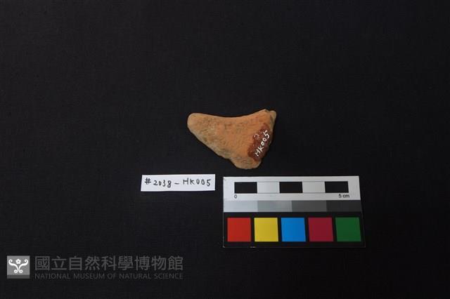 陶片藏品圖，第2張