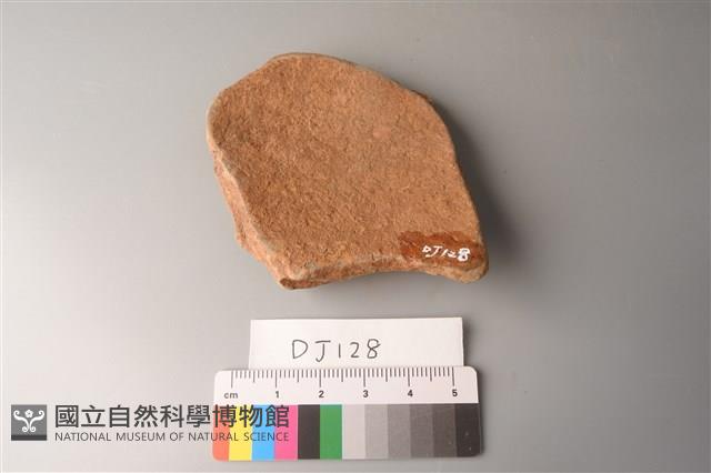 陶片藏品圖，第2張