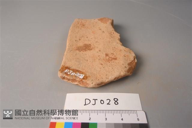 陶片藏品圖，第2張