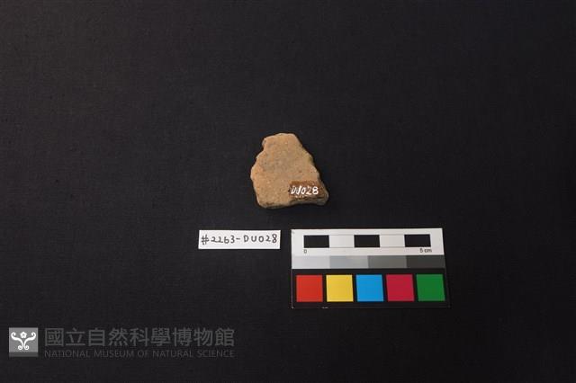 陶片藏品圖，第2張