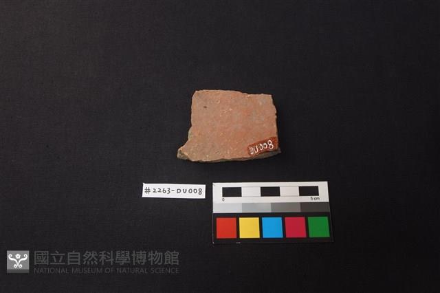 陶片藏品圖，第2張