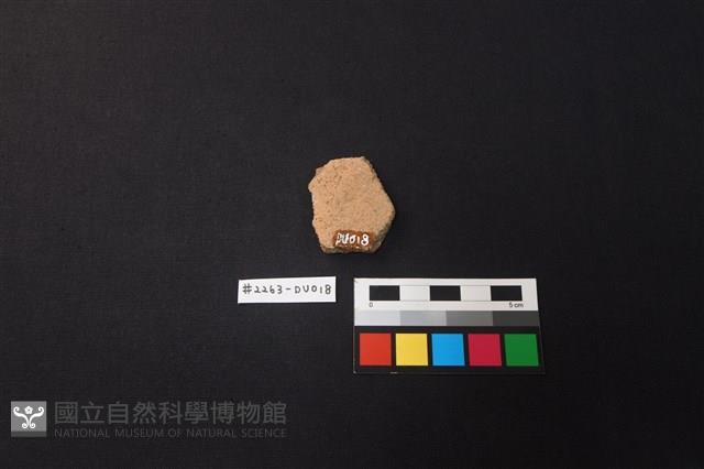 陶片藏品圖，第2張