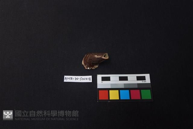 茶壺藏品圖，第2張