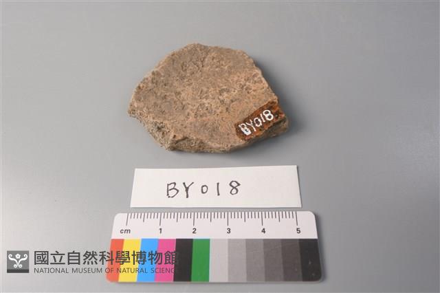 陶片藏品圖，第2張