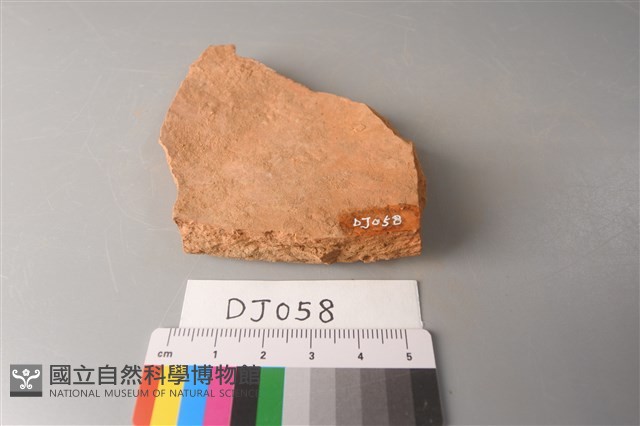 陶片藏品圖，第2張