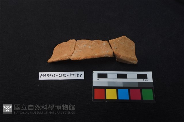 陶片藏品圖，第2張