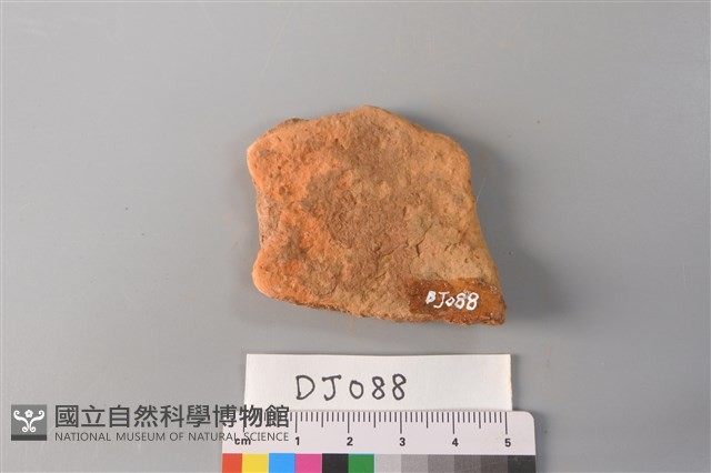 陶片藏品圖，第2張