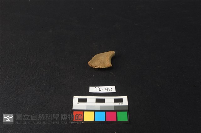 鹿骨藏品圖，第2張