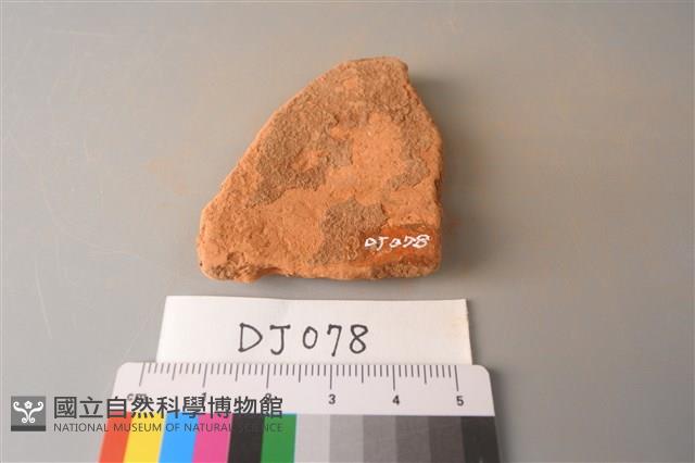 陶片藏品圖，第2張