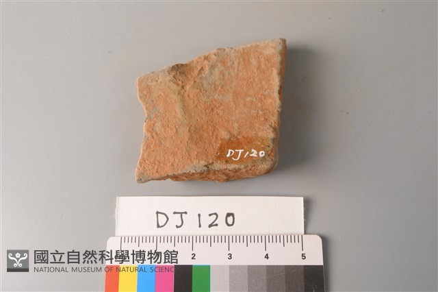 陶片藏品圖，第2張