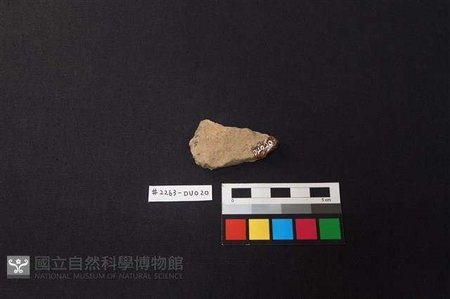 陶片藏品圖，第2張