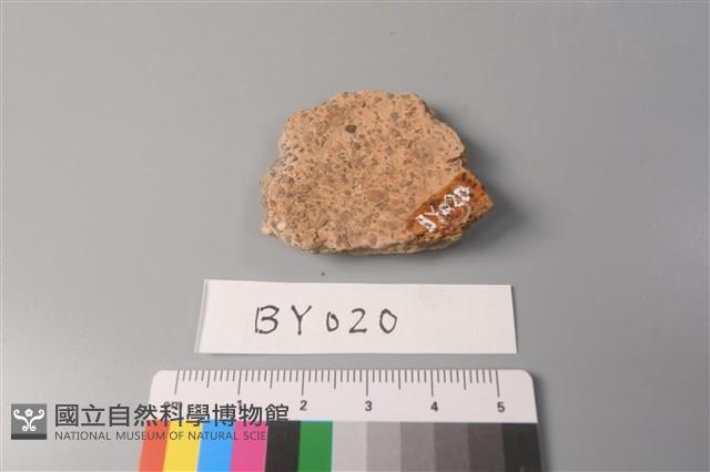 陶片藏品圖，第2張