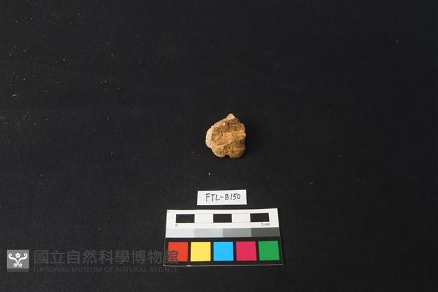 獸骨藏品圖，第2張