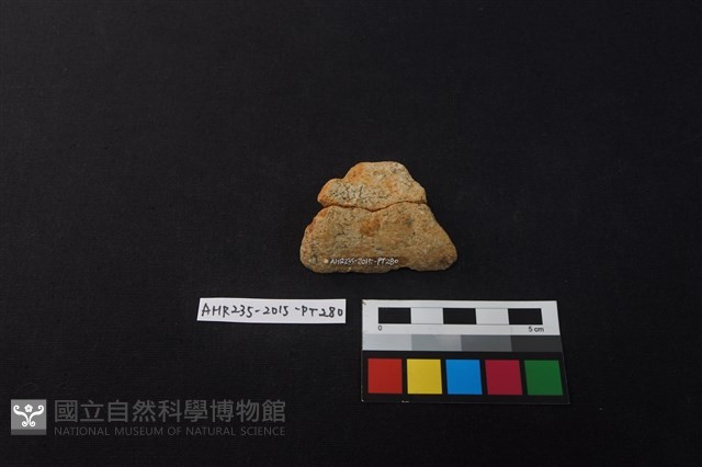陶片藏品圖，第2張