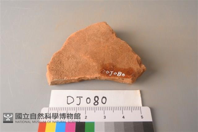 陶片藏品圖，第2張