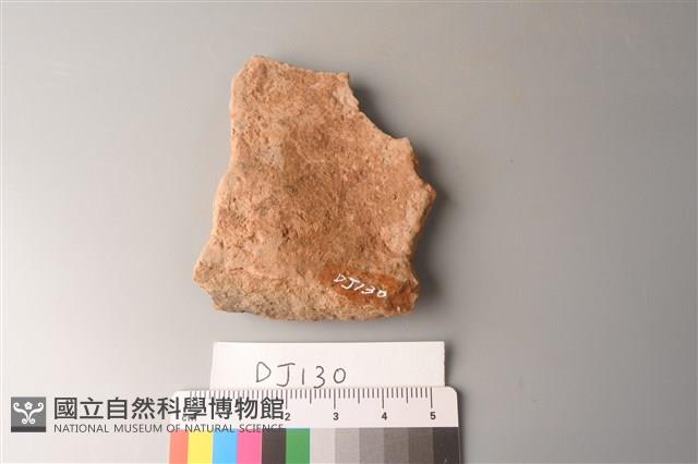 陶片藏品圖，第2張