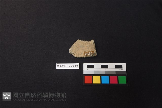 陶片藏品圖，第2張