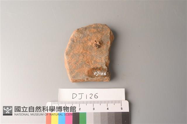 陶片藏品圖，第2張