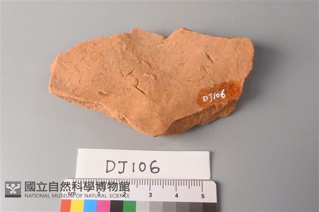 陶片藏品圖，第2張