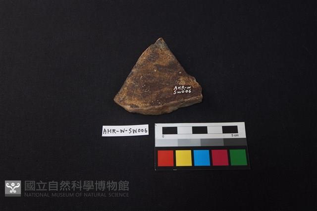 硬陶片藏品圖，第2張