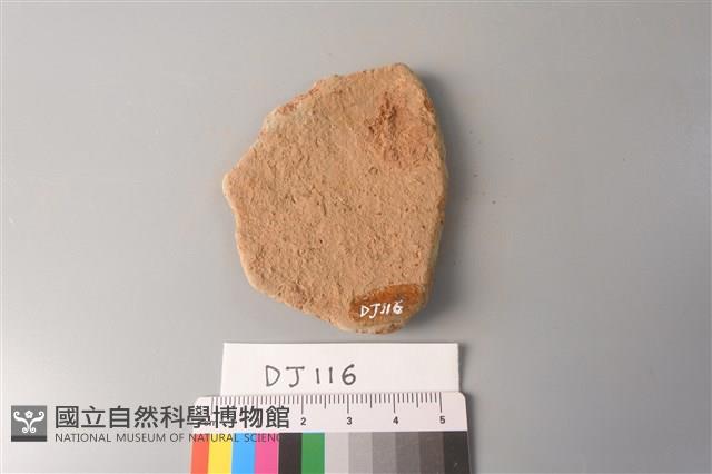 陶片藏品圖，第2張