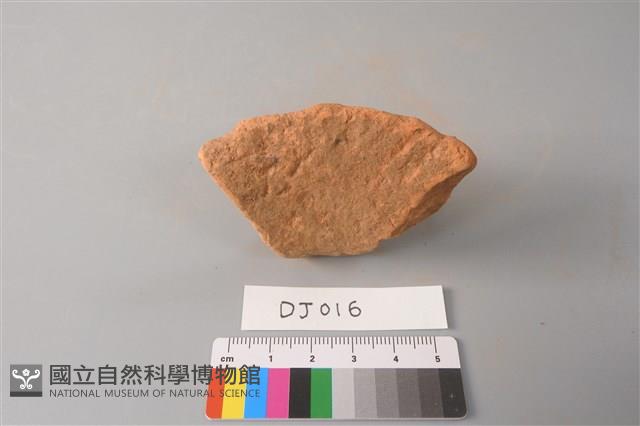 陶片藏品圖，第2張