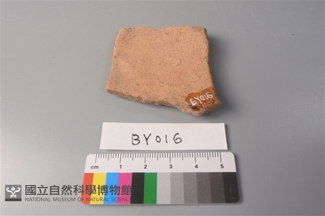 陶片藏品圖，第2張