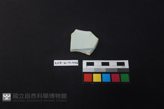 瓷片藏品圖，第2張