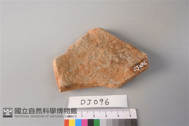 陶片藏品圖，第2張