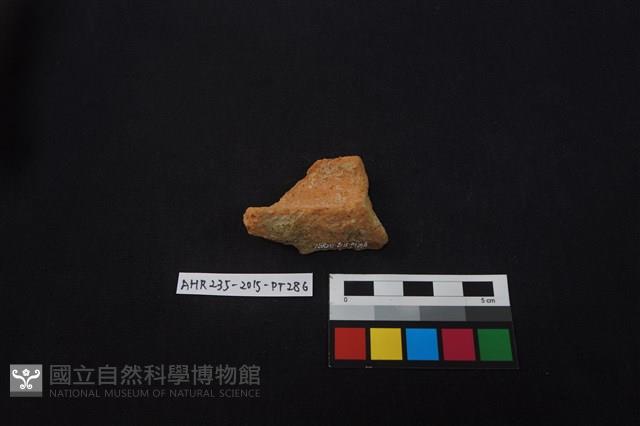 陶片藏品圖，第2張