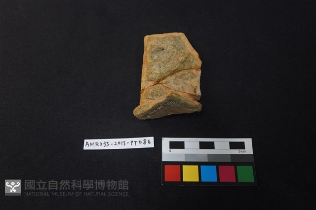 陶片藏品圖，第2張