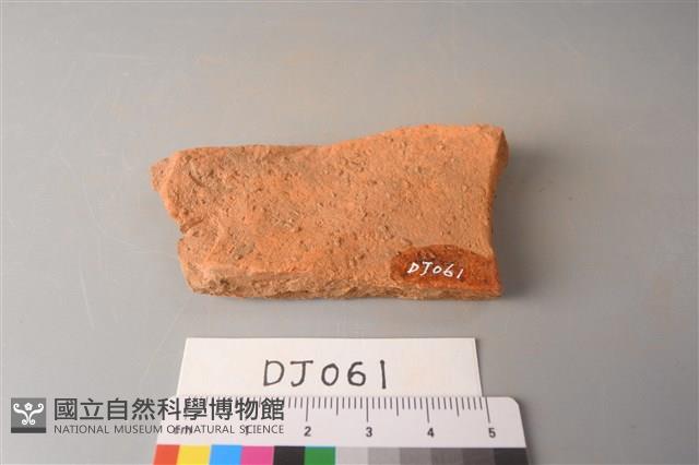 陶片藏品圖，第2張