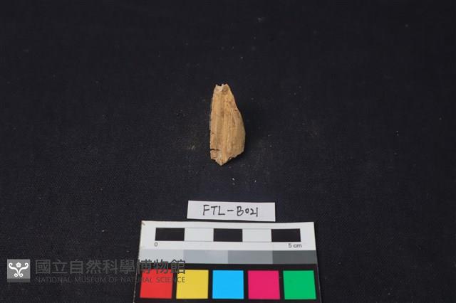 鹿骨藏品圖，第2張