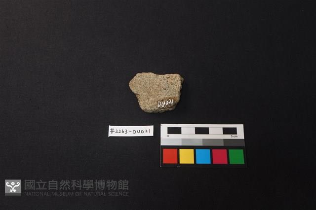 陶片藏品圖，第2張