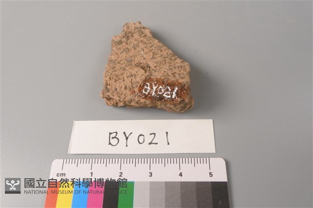 陶片藏品圖，第2張