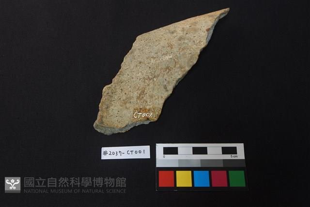 陶片藏品圖，第2張