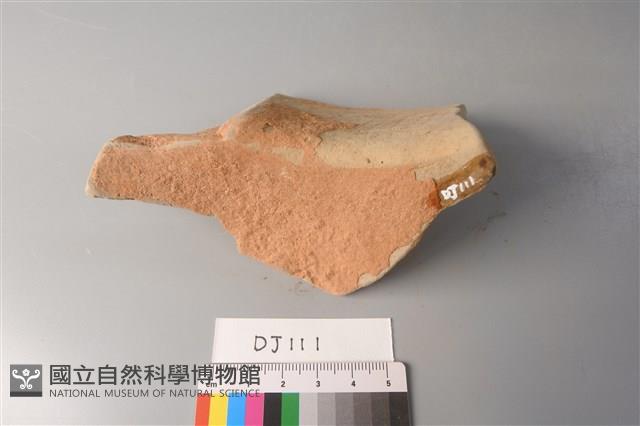 陶片藏品圖，第2張