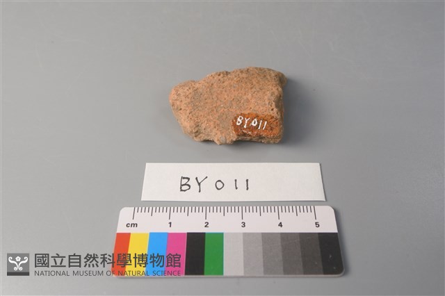 陶片藏品圖，第2張