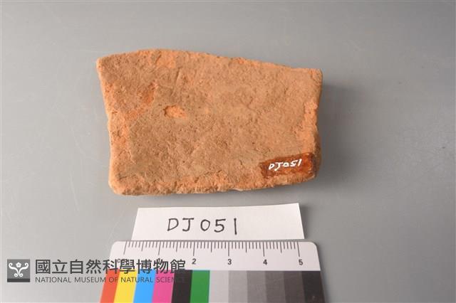 陶片藏品圖，第2張