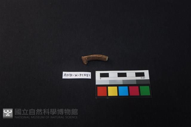 瓷把藏品圖，第2張