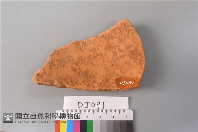 陶片藏品圖，第2張