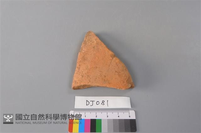 陶片藏品圖，第2張