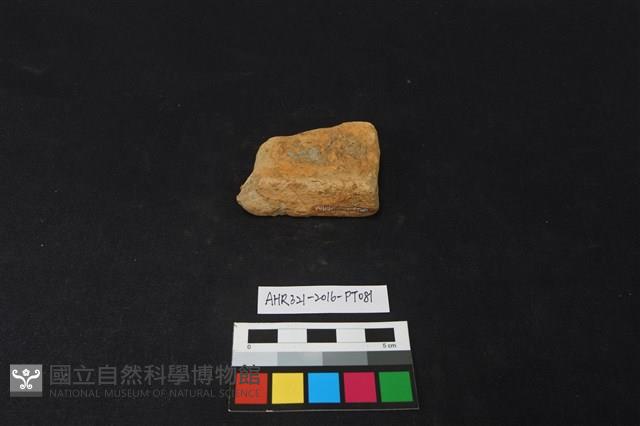 陶片藏品圖，第2張