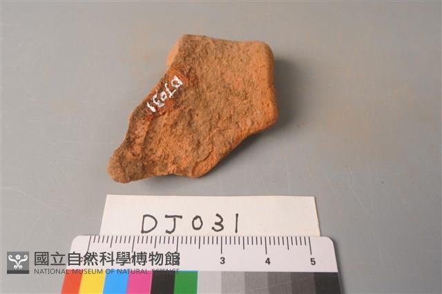 陶片藏品圖，第2張