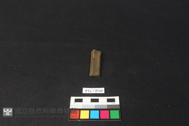 獸骨藏品圖，第2張