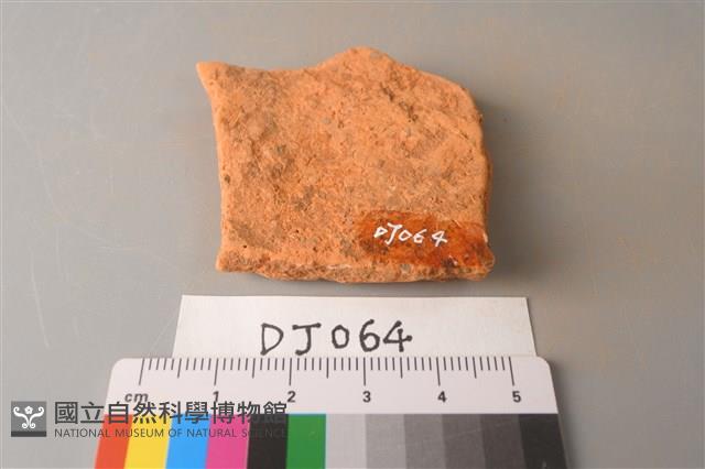 陶片藏品圖，第2張