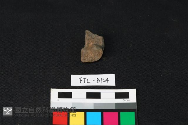 獸骨藏品圖，第2張